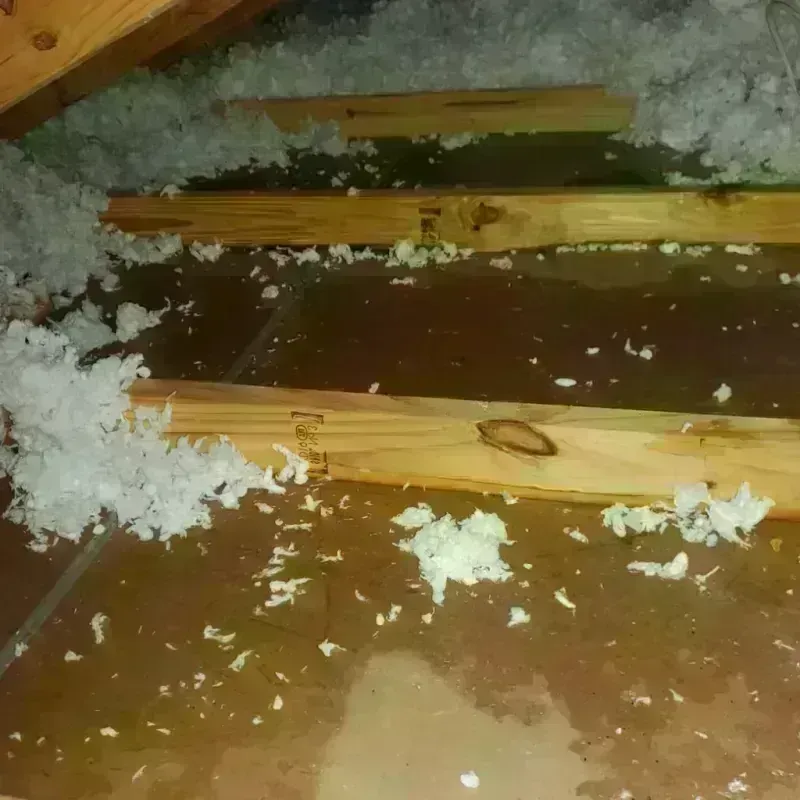 Attic Water Damage in Oskaloosa, IA