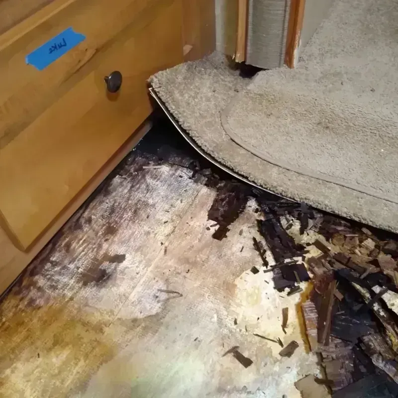 Wood Floor Water Damage in Oskaloosa, IA